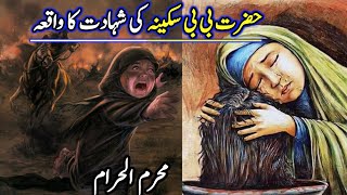 Hazrat Bibi Sakina ki Shahadat  Hazrat bibi sakina ka waqia  Bibi Sakina [upl. by Raines]