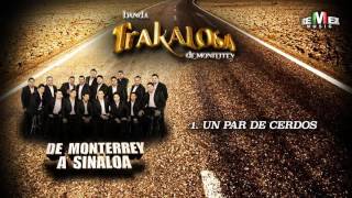 Un Par de Cerdos  La Trakalosa de Monterrey Audio Oficial [upl. by Maurice589]