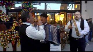 Musica Folk Siciliana 49 Polka [upl. by Nerin]