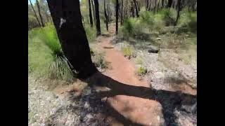 241027 MTB Jarrahdale Mind Your Head [upl. by Ssilb77]