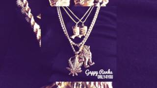 Gappy Ranks  Only 4 You Audio 2017 [upl. by Ryun437]