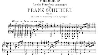 Schubert Wanderer Fantasy in C Major Op15 Lewis [upl. by Chrissie]