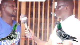 éleveur de pigeons voyageur est spécial colombophile 2022 de sénégal [upl. by Akieluz87]