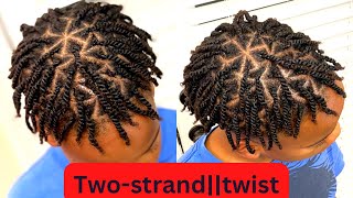 How to do Mens Two Strand Twists [upl. by Wilie14]