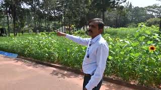 Agroforesty Based Integrated Farming System  Dr DC Hanumanthappa [upl. by Brigham]