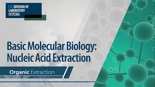 Basic Molecular Biology Nucleic Acid Extraction – Organic Extraction [upl. by Eimile824]