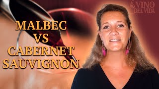 Malbec vs Cabernet Sauvignon Whats the Difference [upl. by Yorgo]