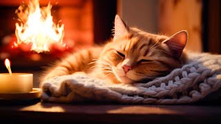 Cozy Catnap Purring Cat by the Fireplace 🔥🐱  10 Hours of Relaxing Sounds for Sleep and Comfort [upl. by Spindell892]