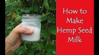 How to Make Hemp Seed Milk and other Nut or Seed Milks [upl. by Ries]