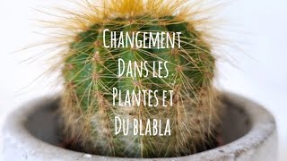 Changement dans les plantes et du blabla [upl. by Avril]