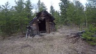 An old trappers cabin in the woods 100 Mile House BC Canada 🇨🇦 [upl. by Estevan]