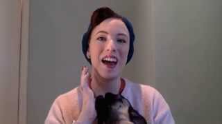 Vlogmas Day Two  A Jolly Holiday with Roly [upl. by Karissa264]