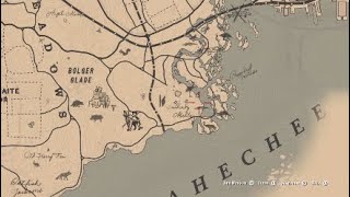 RDR2 Egrets Best Locations Exotic Collectables [upl. by Rebane]