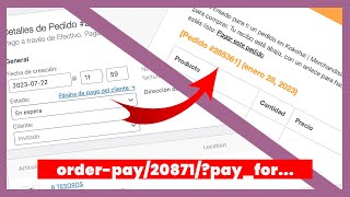 🔗 Crear un enlace de pago en un pedido de WooCommerce  Enviar al cliente el enlace de pago [upl. by Meehyr854]