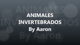 Animales invertebrados [upl. by Sharla560]