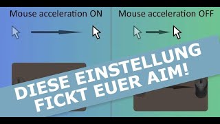 🔧 Maus für Gaming optimieren 100 Mouse Precision und Raw Input für SOFORT BESSERES Aim [upl. by Lleynod]