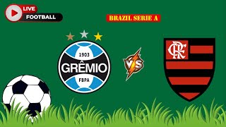 Gremio RS VS CR Flamengo  Brazil Serie A  Football Live Match Score today [upl. by Morten]