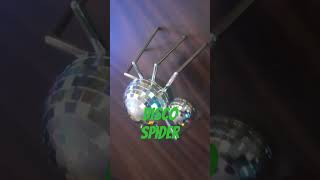 Disco Spider tomhooker dance spider [upl. by Annalee]