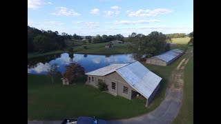 Blount County Alabama  83 Acres Farm House Ponds Barns [upl. by Zuzana]