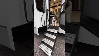 This front living fifth wheel is a BREATHTAKING BEAUTY 2023 KZ Durango Gold 387FLF rv [upl. by Florenza]