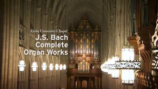 JS Bach quotThe Wedgequot [upl. by Farkas]