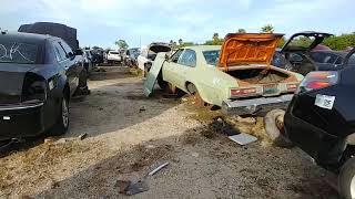 Checking out a few Classics in a Florida Junkyard [upl. by Bergmann]