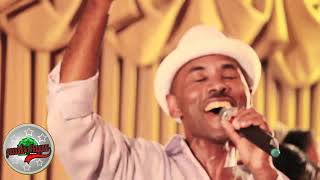 Best of Muktar Usman Oromo Music Collection [upl. by Janette]