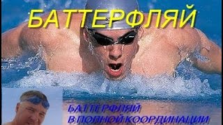 Баттерфляй в полной координации КАК НАУЧИТЬСЯ ПРАВИЛЬНО ПЛАВАТЬ HOW TO LEARN TO SWIM BUTTERFLY [upl. by Medeah]