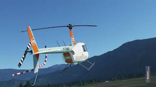 Autorotation  MSFS Native Flight Model  R44 Helicopter [upl. by Hartfield]