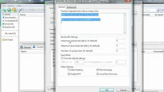 How to Remove Trackers from Torrents [upl. by Narton417]