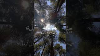 Rehman ya Rehman by Mishary Rashid naat naatsharif islamicshorts shortsvideo [upl. by Anirbac535]