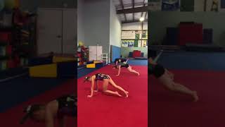 🎖Quarantine Workout🎖 15 Minute Home Workout Challenge For Gymnasts [upl. by Novyat]