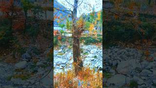 Swat Valley in Autumn 2024 Nature’s Masterpiece 🍂🍁quot [upl. by Rai]