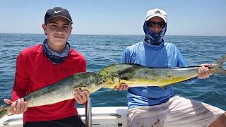 Miami Mahi Mahi Dolpin Dorado Offshore fishing Robalo r180 [upl. by Amada859]