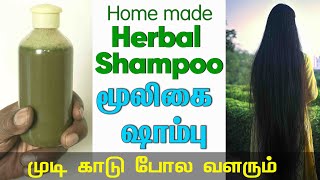 Herbal Shampoo  இயற்கையான SHAMPOO வீட்டிலேயே READY பண்ணலாம் [upl. by Cristian]