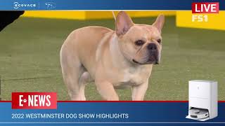 ECOVACS Brings You 2022 Westminster Dog Show Highlights EP2 [upl. by Attaynik149]