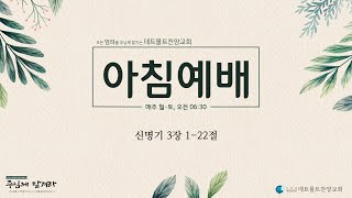 10월 31일 데트몰트찬양교회 아침예배31 Oktober Morgengottesdienst der Detmolder Lobpreiskirche [upl. by Ellenig109]