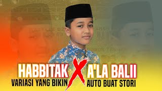 Habbitak X Ala Bali  Suara Merdu  Indra Hidayat  Ahbabun Nabi Sumur Tengah [upl. by Oiratno154]