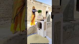 Homemade trick to clean millet😯 technology millet [upl. by Bowers]