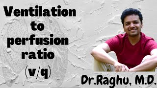 Ventilation to Perfusion RatioVQ Ratio Effect of gravity on VQ ratio  Physiological shunt [upl. by Tersina]