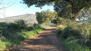 Da San Vittorino a San Gregorio da Sassola RM a piedi luoghisegretiaduepassidaroma [upl. by Poll349]