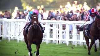 The Frankel Story  BBC Sport [upl. by Katerina429]