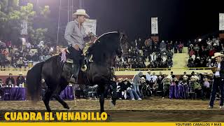 OSWALDO de CUADRA VENADILLO 🦌 EN LA FERIA GANADERA DE CULIACÁN [upl. by Gilcrest]