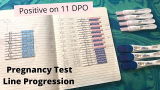 Pregnancy Test Line Progression  Positive on 11DPO [upl. by Shaylyn]