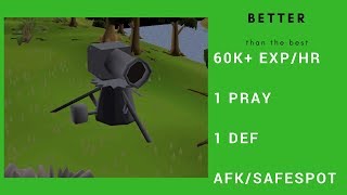 OSRS BestBetter Cannon Spot for 1Def 1Pray Low HP Pures 2017 [upl. by Anrak349]