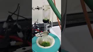 Soxhlet extraction 👩🏻‍🔬science microbiology shorts [upl. by Coit481]