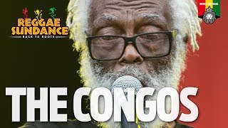 The Congos Live at Reggae Sundance 2016 [upl. by Elysia]