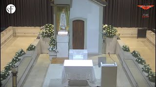 Santuario de Fátima en Vivo [upl. by Jacquette719]