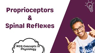 Proprioceptors amp Spinal Reflexes  MCQ concepts [upl. by Bernard998]