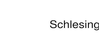 How to pronounce Schlesinger [upl. by Fredek]